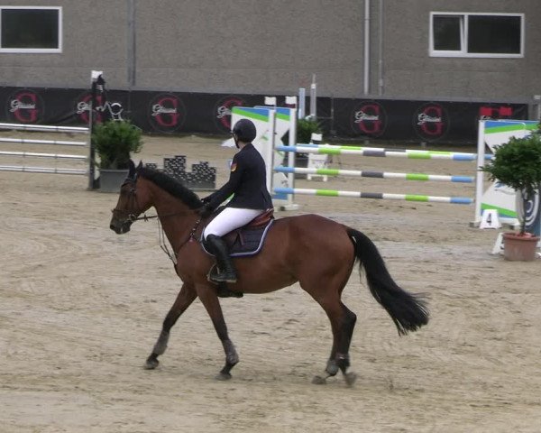 Reitturnier Kalenborn Hegehof 2023