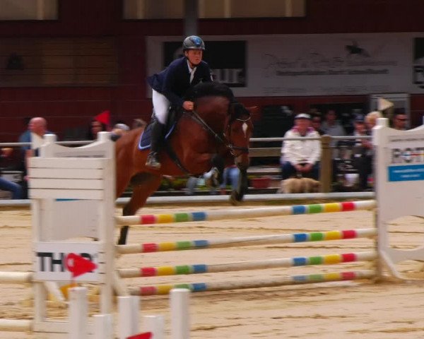 Reitturnier Uder, Reitanlage Kobold 2023