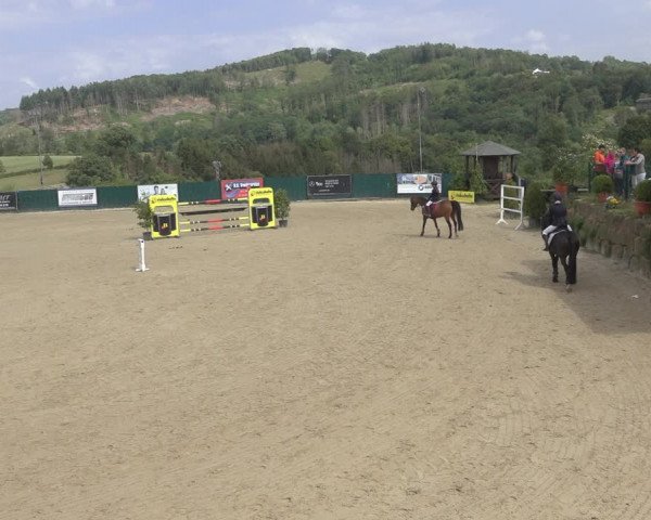 Reitturnier Lindlar-Süttenbach 2023