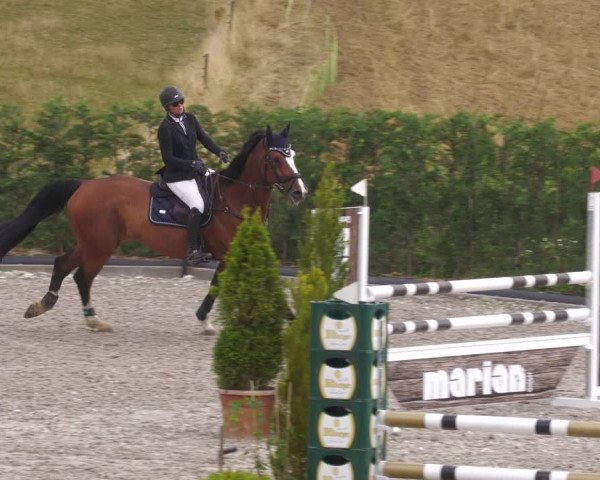 Reitturnier Margarethenhof /Beckingen 2023