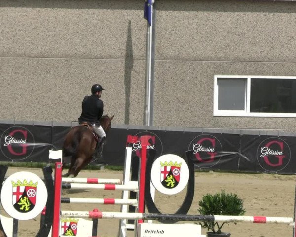 Reitturnier Kalenborn Hegehof 2023