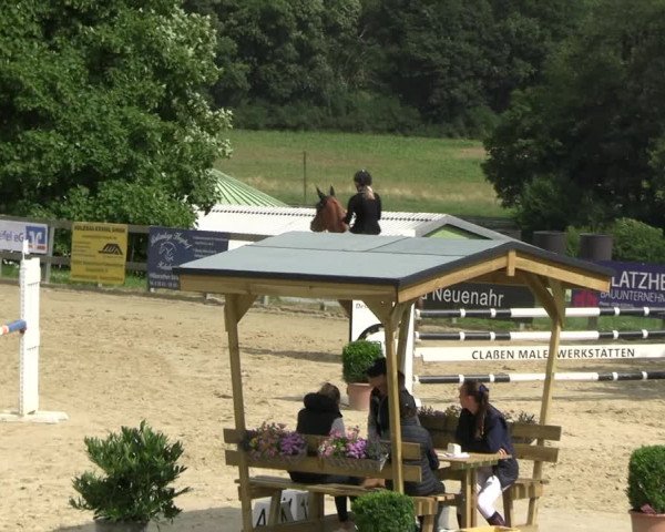 Reitturnier Kalenborn Hegehof 2023