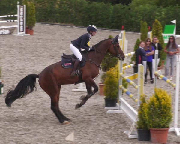 Reitturnier Margarethenhof /Beckingen 2023