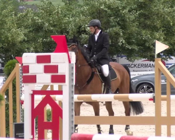 Reitturnier Balsthal 2023