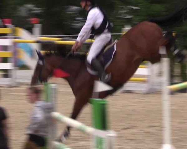 Reitturnier Bad Liebenstein/Sorga 2023