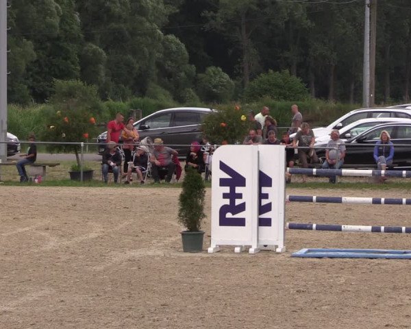 Reitturnier Bad Liebenstein/Sorga 2023