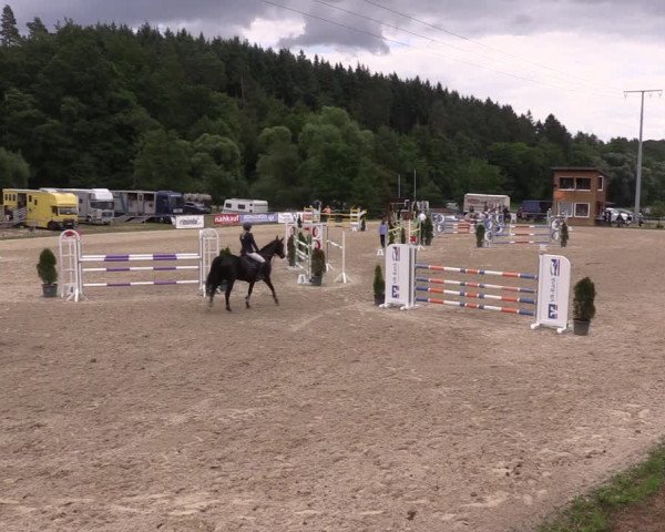 Reitturnier Bad Liebenstein/Sorga 2023
