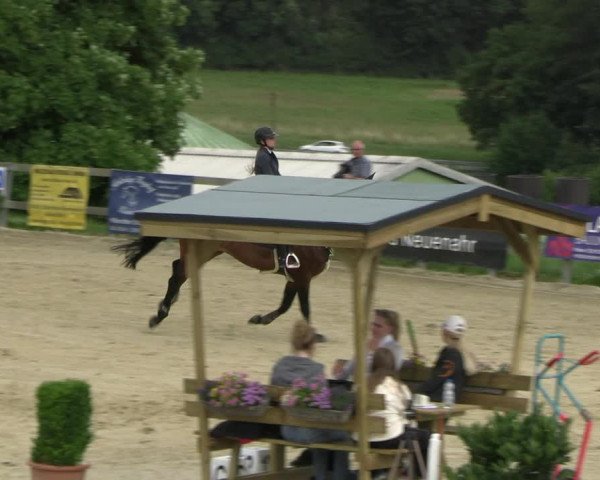 Reitturnier Kalenborn Hegehof 2023