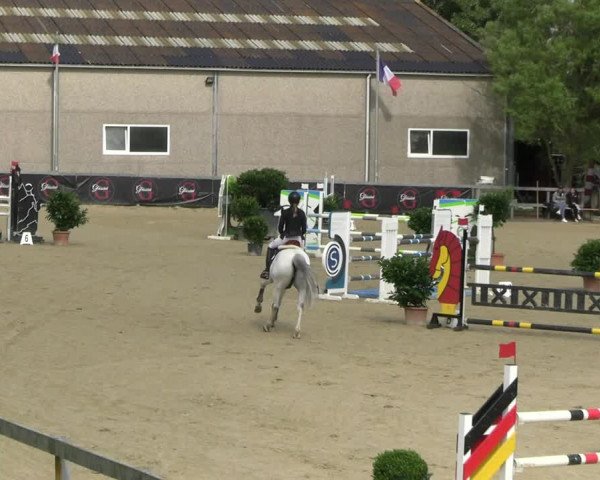 Reitturnier Kalenborn Hegehof 2023