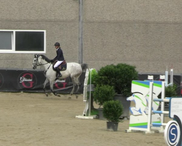 Reitturnier Kalenborn Hegehof 2023