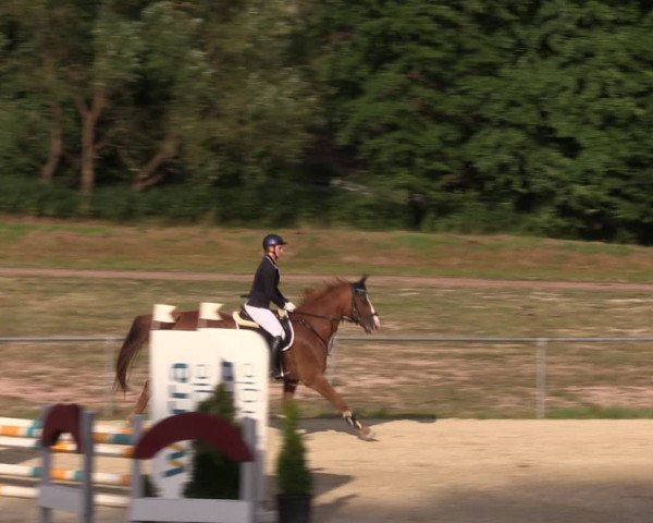 Reitturnier Bad Liebenstein/Sorga 2023
