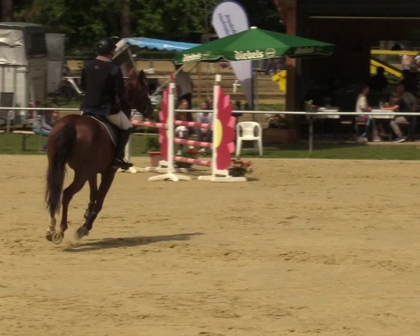 Reitturnier Sonsbeck 2023