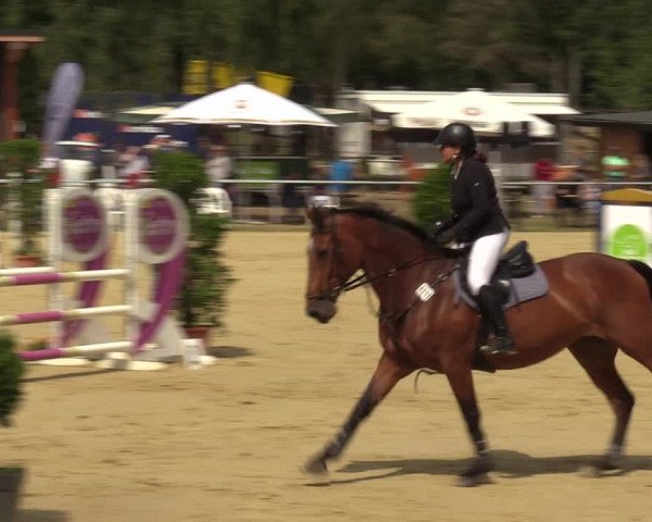 Reitturnier Sonsbeck 2023
