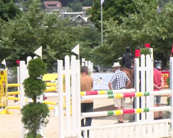 Reitturnier Balsthal 2023
