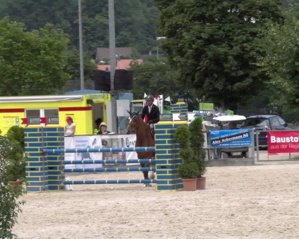 Reitturnier Balsthal 2023