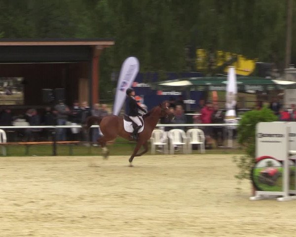 Reitturnier Sonsbeck 2023
