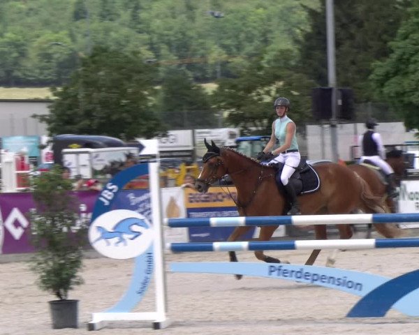 Reitturnier Balsthal 2023