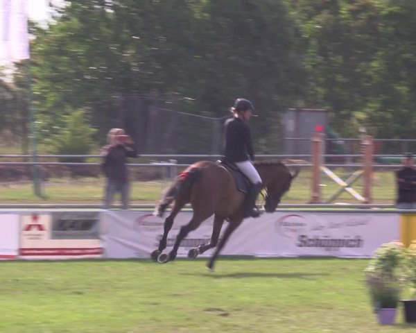 Reitturnier Dersekow 2023