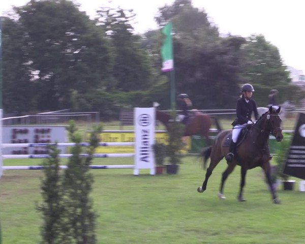 Reitturnier Dersekow 2023