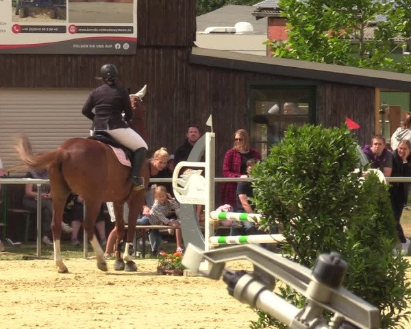 Reitturnier Sonsbeck 2023