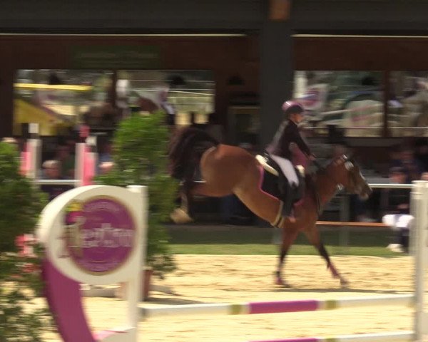 Reitturnier Sonsbeck 2023
