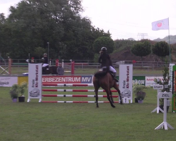Reitturnier Dersekow 2023