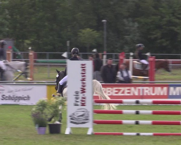 Reitturnier Dersekow 2023