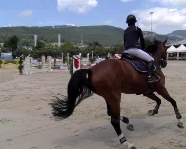 Reitturnier Balsthal 2023