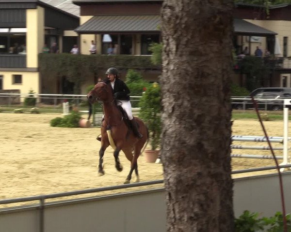 Reitturnier Sonsbeck 2023