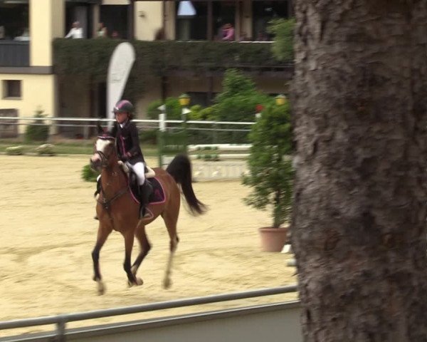 Reitturnier Sonsbeck 2023