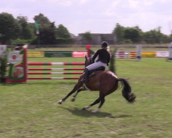Reitturnier Dersekow 2023