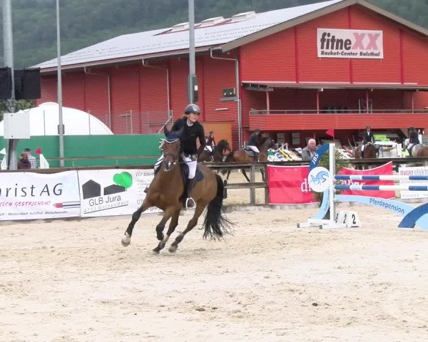 Reitturnier Balsthal 2023