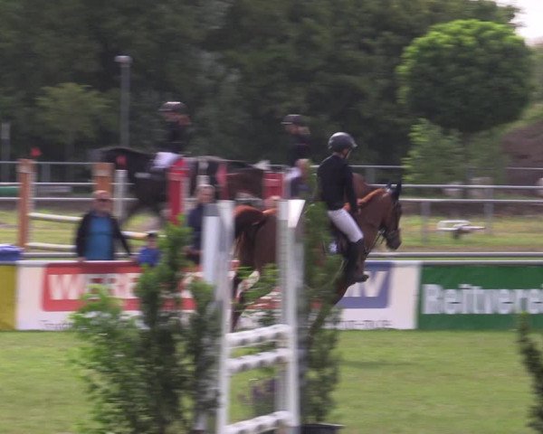 Reitturnier Dersekow 2023