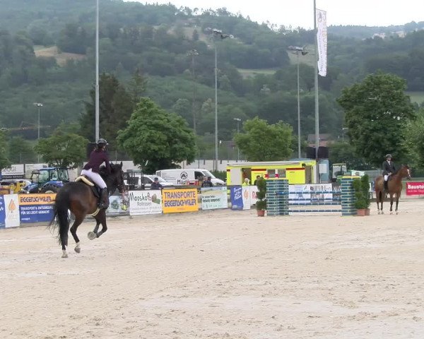 Reitturnier Balsthal 2023