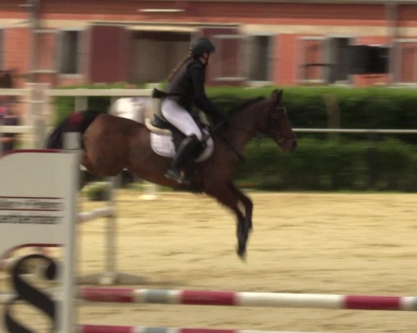 Reitturnier Sonsbeck 2023