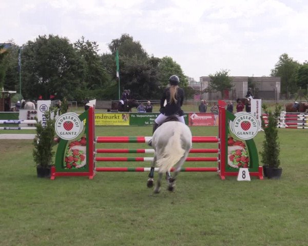 Reitturnier Dersekow 2023