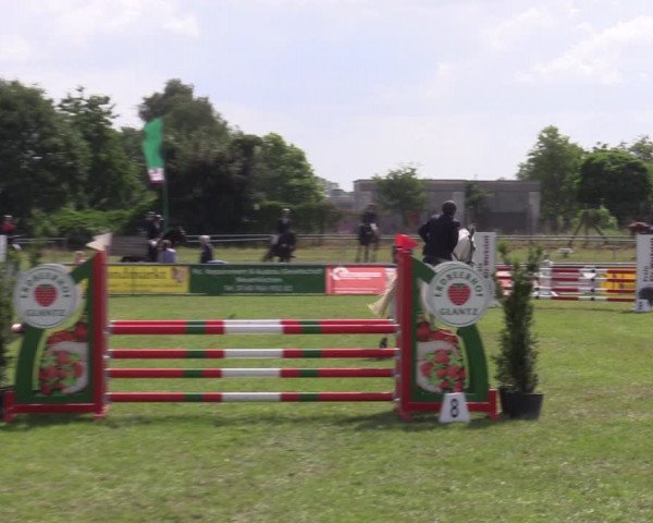 Reitturnier Dersekow 2023