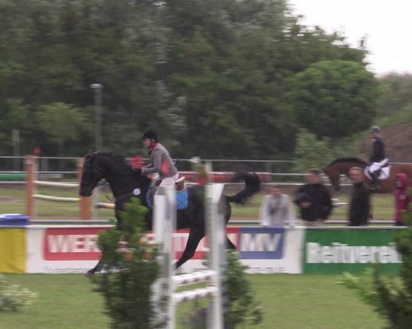 Reitturnier Dersekow 2023