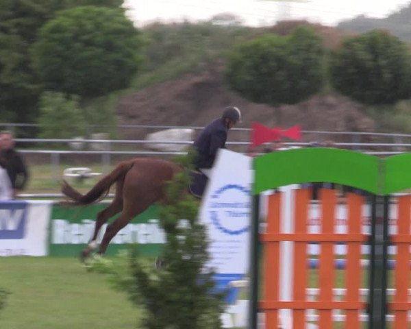 Reitturnier Dersekow 2023