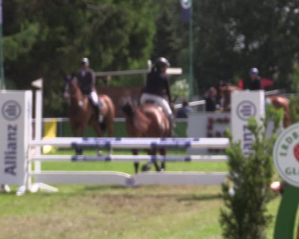Reitturnier Dersekow 2023