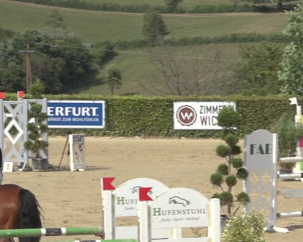 Reitturnier Lindlar-Süttenbach 2023