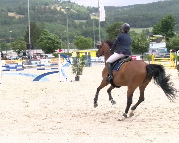 Reitturnier Balsthal 2023