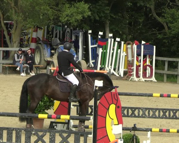 Reitturnier Kalenborn Hegehof 2023