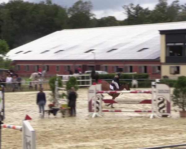 Reitturnier Sonsbeck 2023