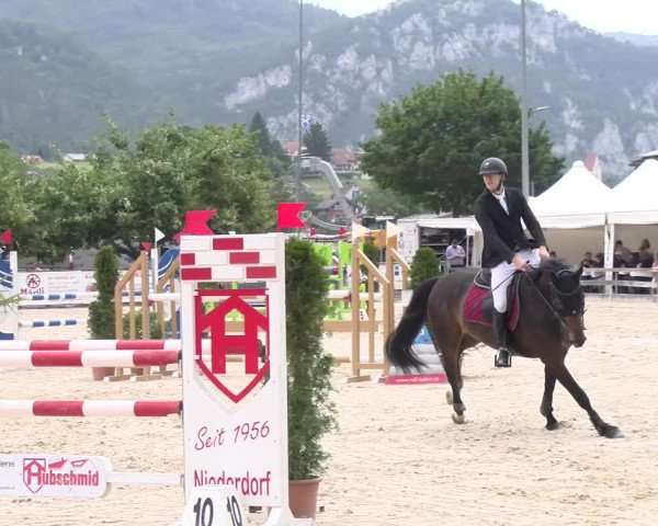 Reitturnier Balsthal 2023