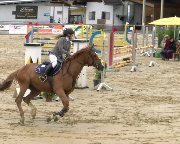 Reitturnier Rankweil 2023