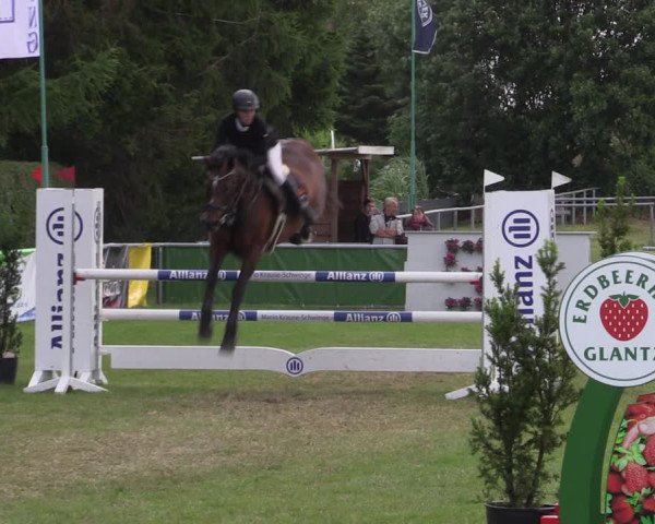 Reitturnier Dersekow 2023