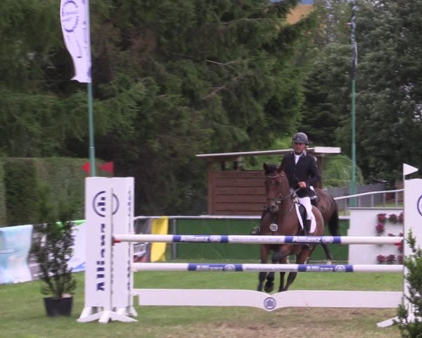 Reitturnier Dersekow 2023
