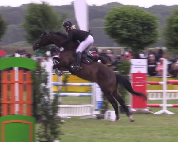 Reitturnier Dersekow 2023