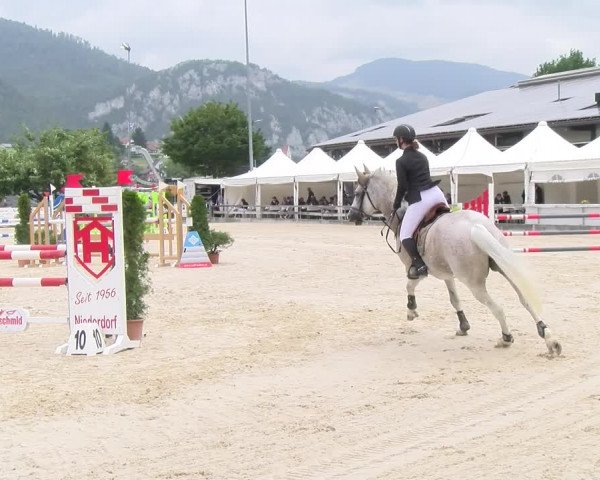 Reitturnier Balsthal 2023